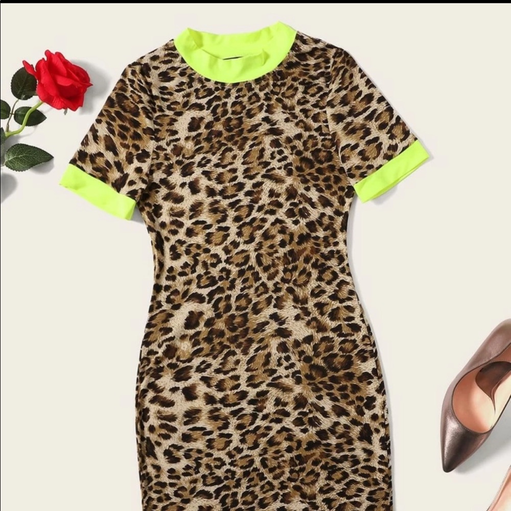 Plus Size Dress